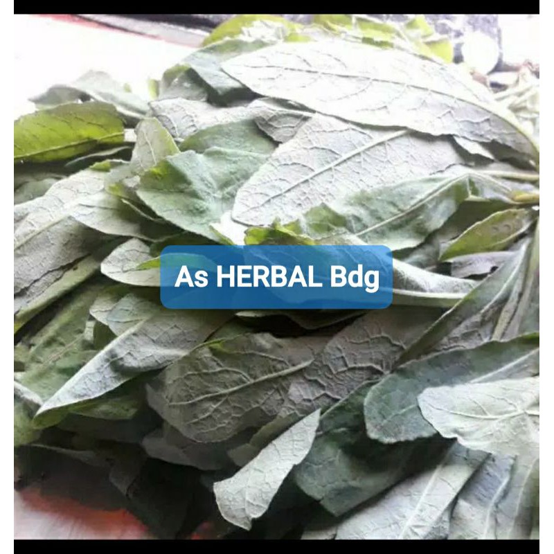 

Jual daun tempuyung segar 500 gram-az