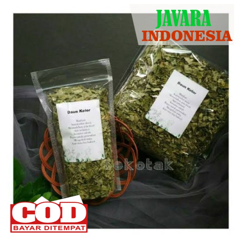 

Teh daun kelor - daun kelor kering Moringa oleifera