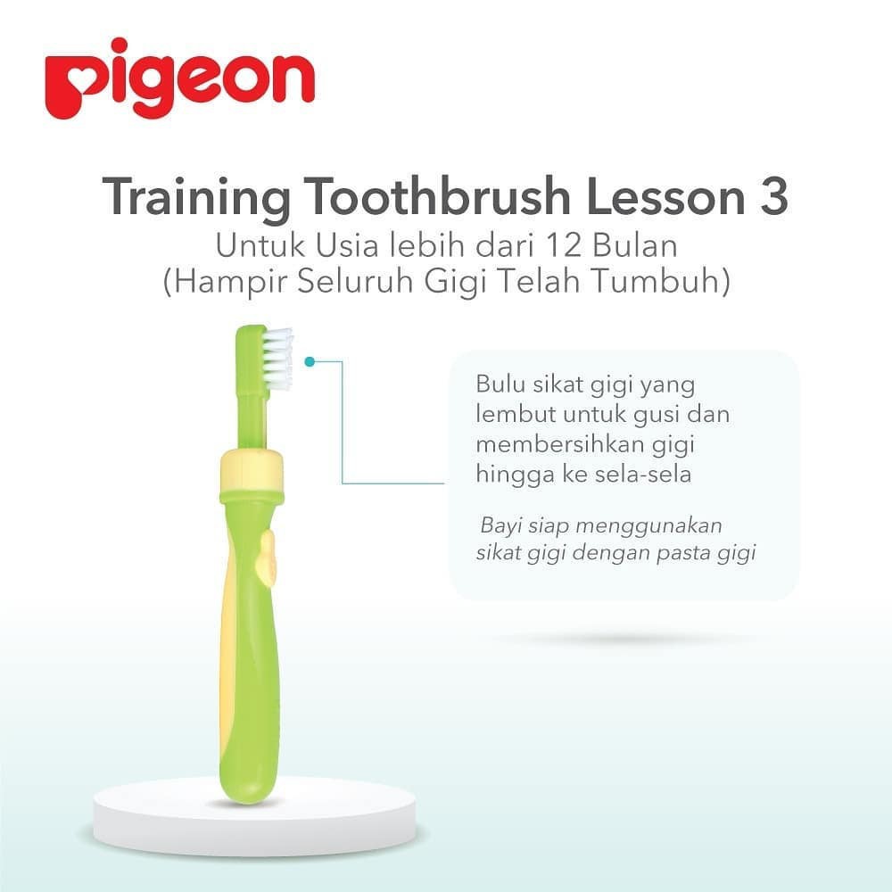PIGEON TRAINING TOOTHBRUSH LESSON 1 2 3 / TOOTHBRUSH / PIGEON