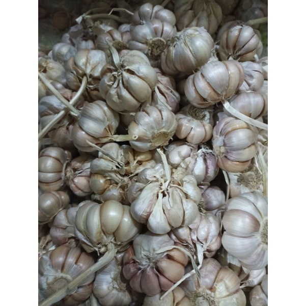 

Bawang putih