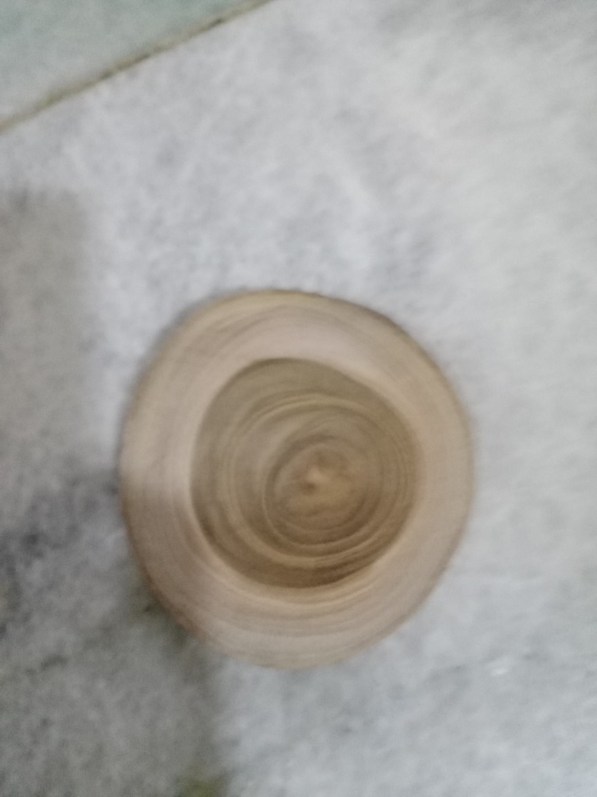 Wood Slice Potongan Kayu Jati Diameter 9 - 10 Cm