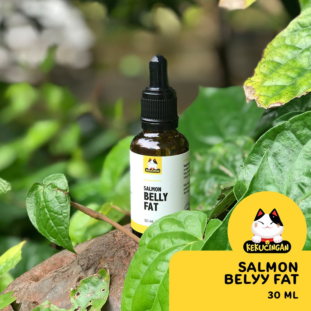 Minyak Ikan Salmon BELLY FAT Salmon Oil Suplemen Penggemuk dan Bulu Untuk Kucing Anjing 30 ml