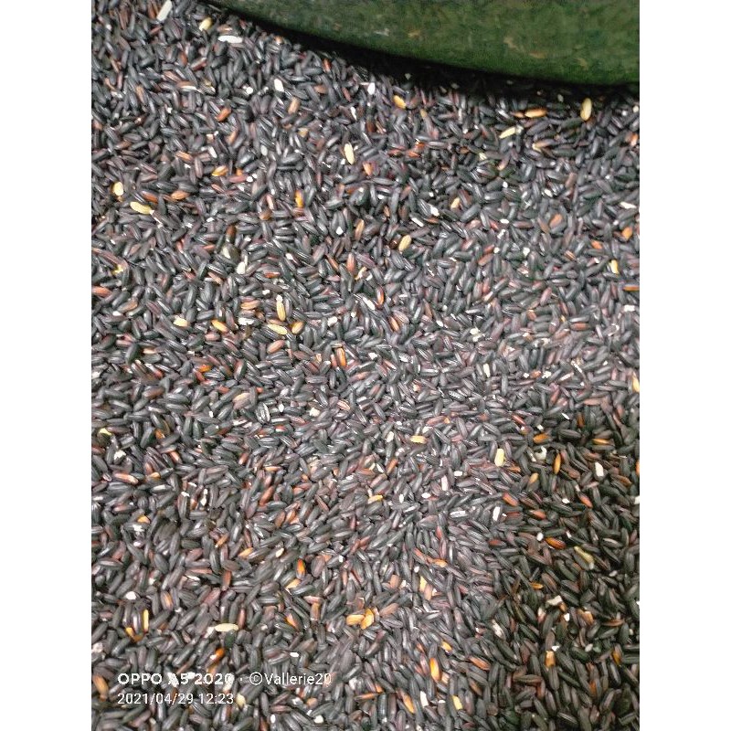 

beras ketan hitam 1 kg