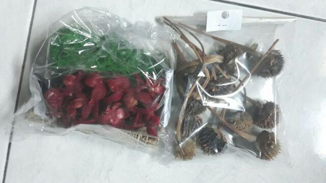 Rumput Kayu Angin Hijau 20gr