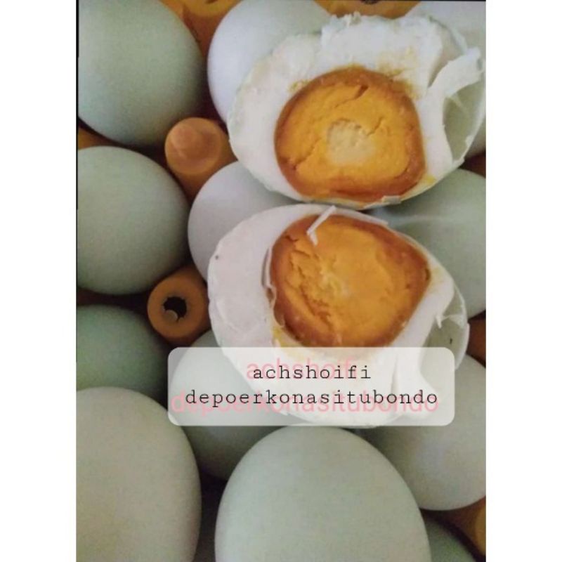 

Telur Asin Masir Matang GRATIS packing buble wrap