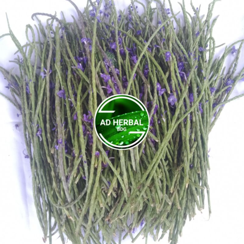 

Bunga Pecut Kuda Fres Segar 500 Gram