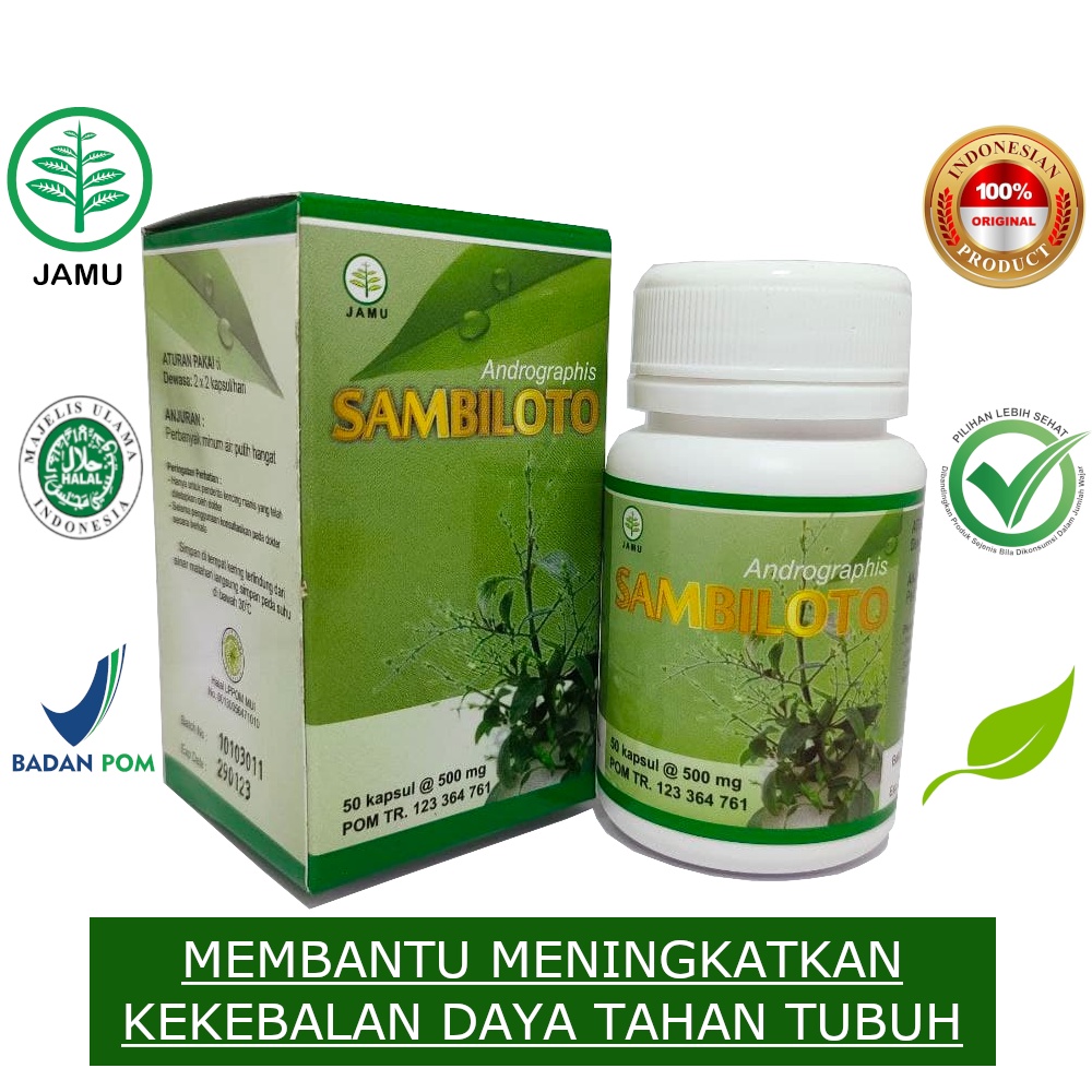 SAMBILOTO TOGA NUSANTARA 50 KAPSUL