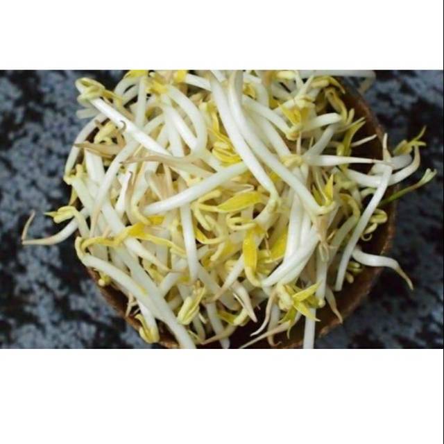 

Tauge 250 gram | Toge Segar - Bumbu Masak - Bumbu Dapur - Sayuran Segar - Rindu Sayuran Cimahi