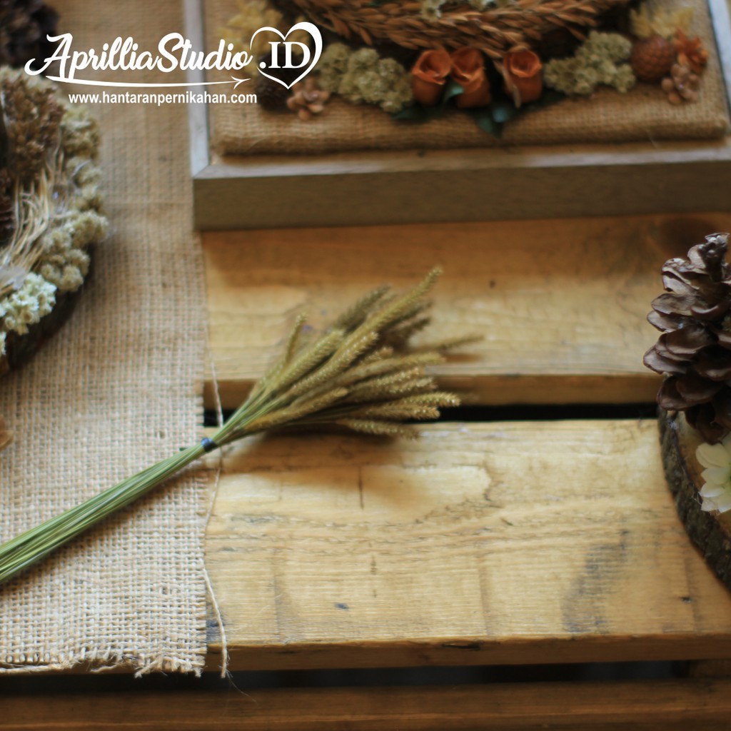 Dried Bunga Kering Oson Bahan Kerajinan Untuk Dekorasi Rustic &amp; Craft