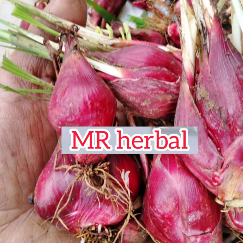 

Bawang Dayak segar per 500 gram