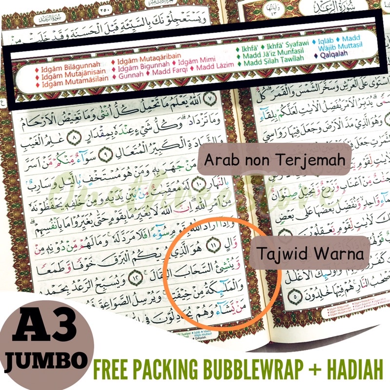 30Juz PASTI JUMBO AlQuran NON Terjemah Al Quran Tajwid Warna al qur'an Buku Filsafat Ilmu Alquran Ha