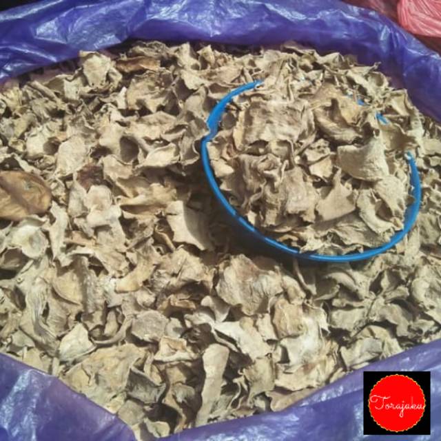 

Kulit Pangi / Kepayang / Picung Halal Toraja 0,5 KG / 500 Gram Murah dan Bagus