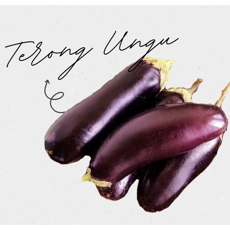 

Terong Ungu 1Kg