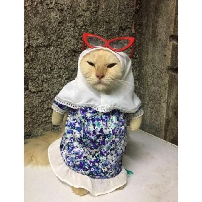 Baju Kucing Kostum Ukhti / Gamis