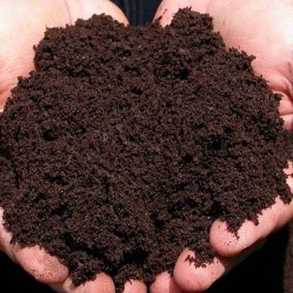 JUAL TANAH KARUNGAN MURNI TANAH GUNUNG 6-8KG