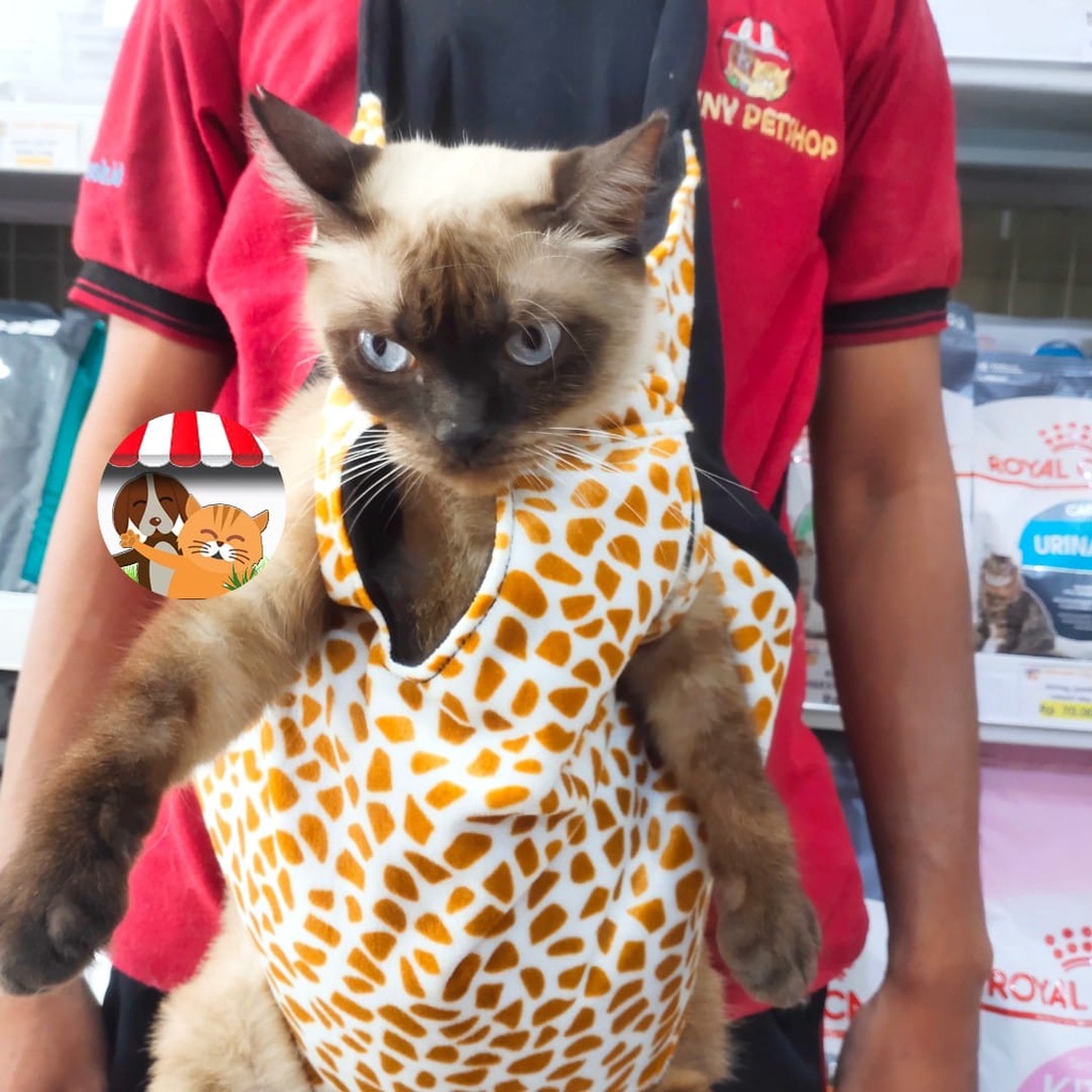 Pet Carrier Tas Ransel Hewan - Gendongan Kucing Anjing Mini Puppy