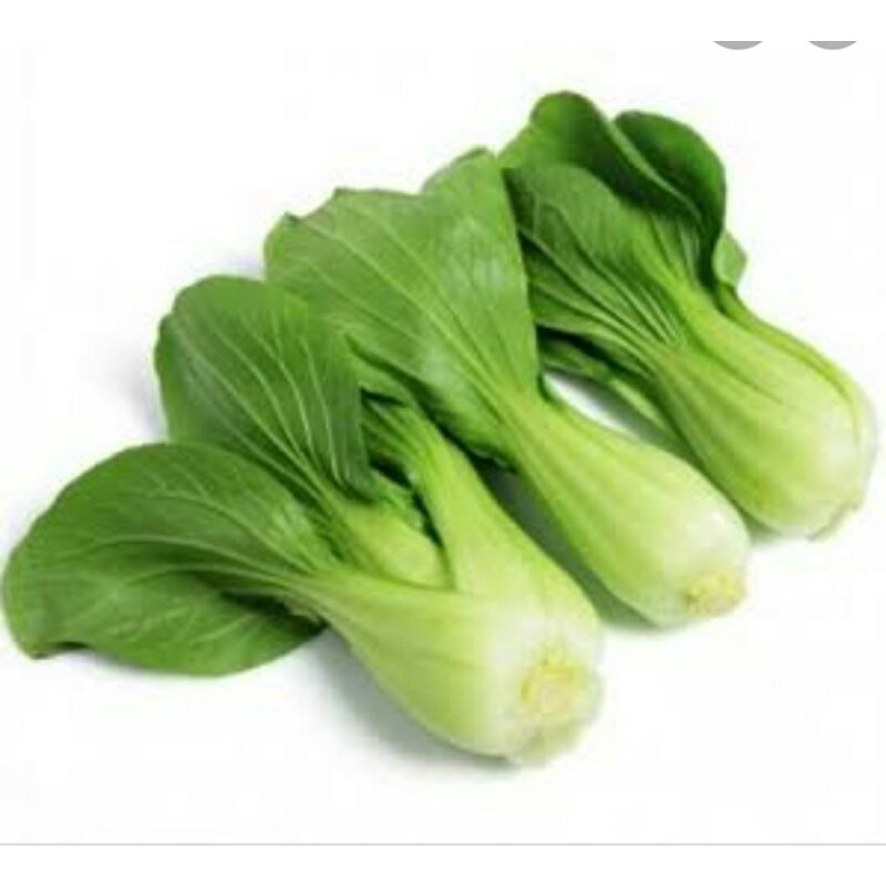 

sayur pakhcoy segar/250