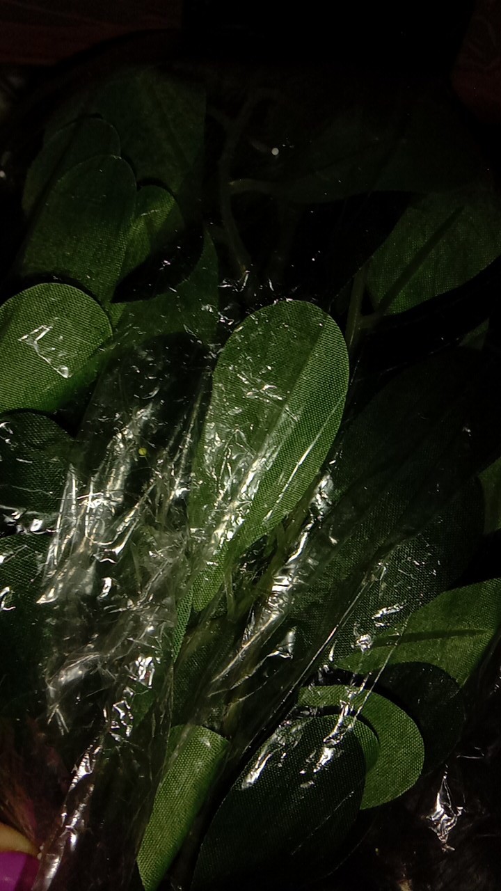 Daun Culam 5 Cabang Daun Artificial Dekorasi