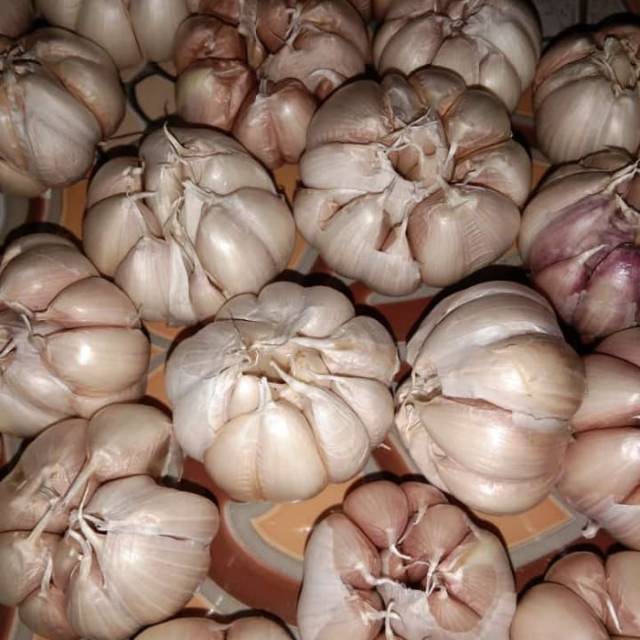 

Bawang putih Honan 1kg
