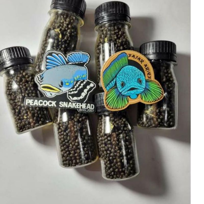 Pelet Jahat dan Pelet Virus Original By Fajar Arief