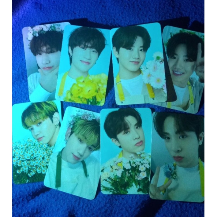 TINCASE MD BLOOMING TREASURE JUNKYU MASHIHO YEDAM JUNGHWAN