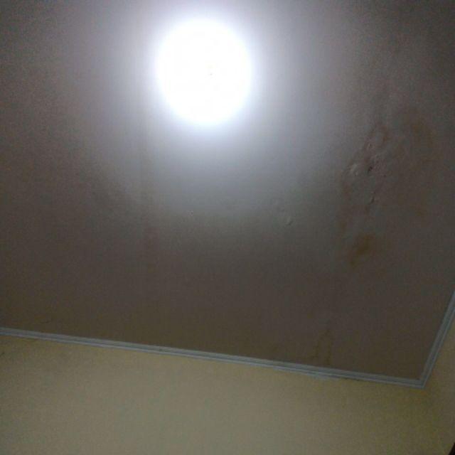 Anti Tikus Kap Mobil Ruang Mesin Botol Spray