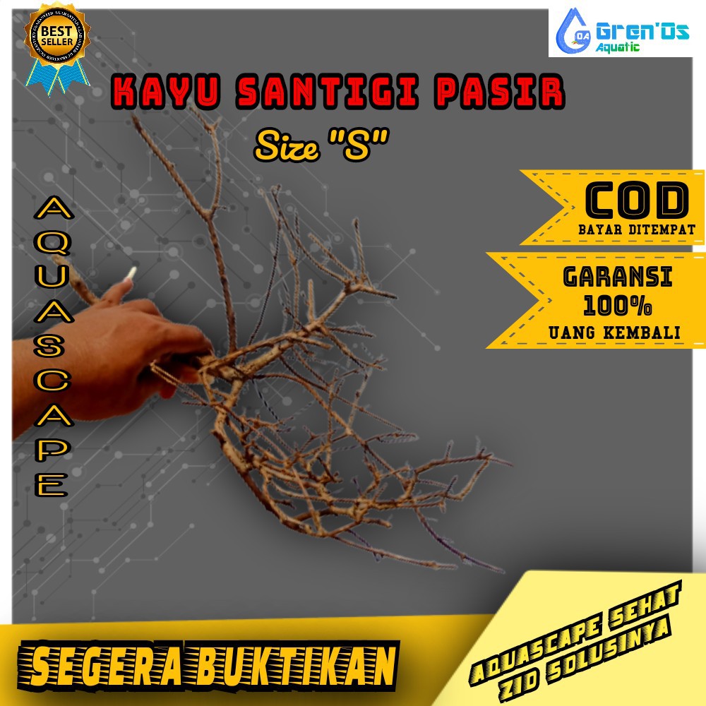 Kayu Santigi Pasir Size S Aquarium Aquascape untuk Bonsai