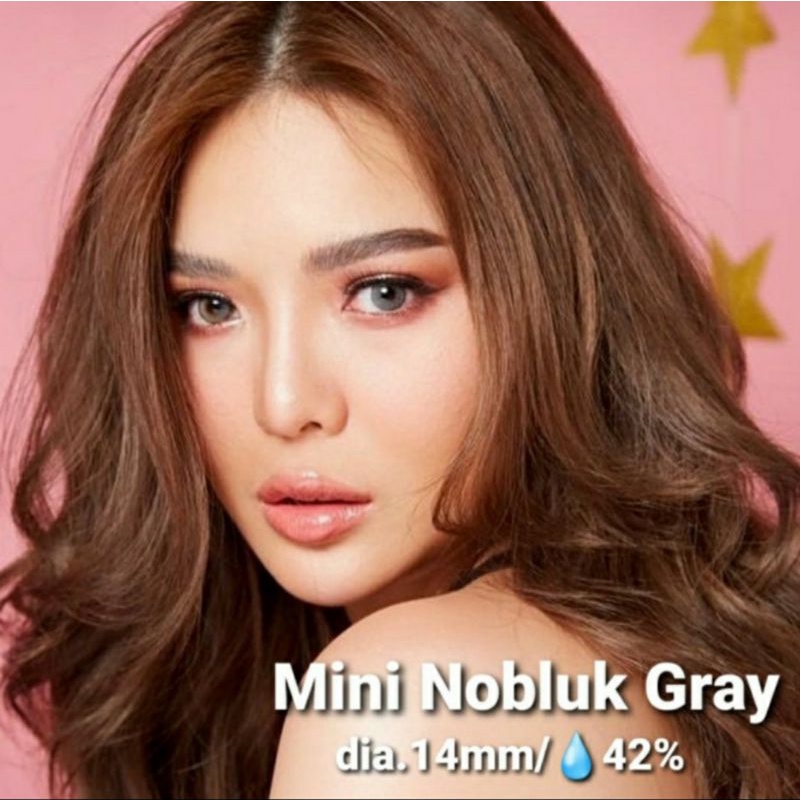 SOFTLENS DREAMCOLOR MINI NOBLUK BROWN dia.14mm Normal Minus s.d -8.00