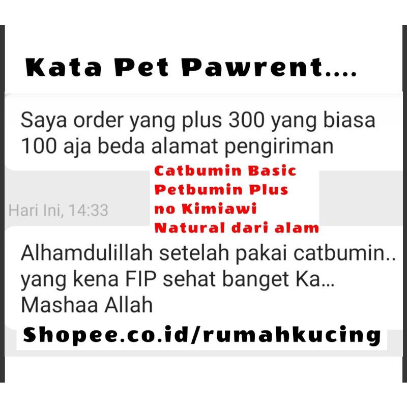 Catbumin kapsul pemulihan kucing FIP dan pasca operasi atau steril 