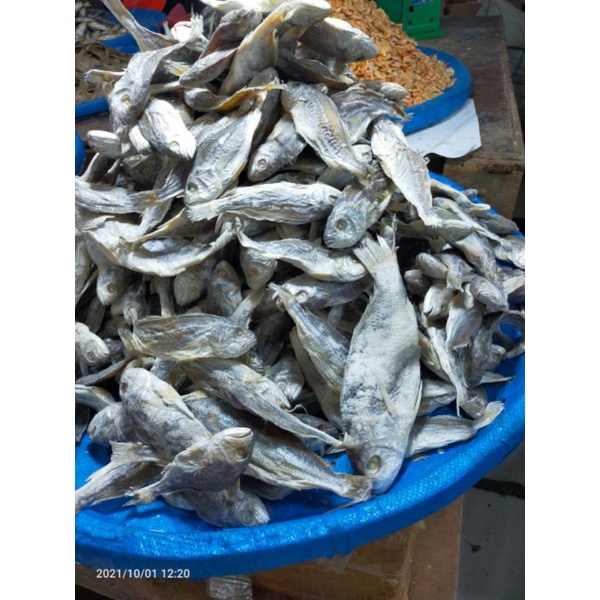 

IKAN ASIN KEPALA BATU 250 GR