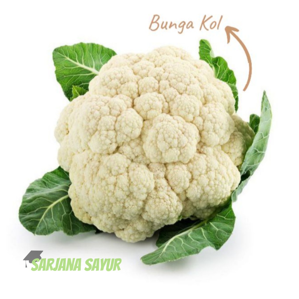 

Bunga Kol 500gr (Sayur Sayuran Curah) Sarjana Sayur