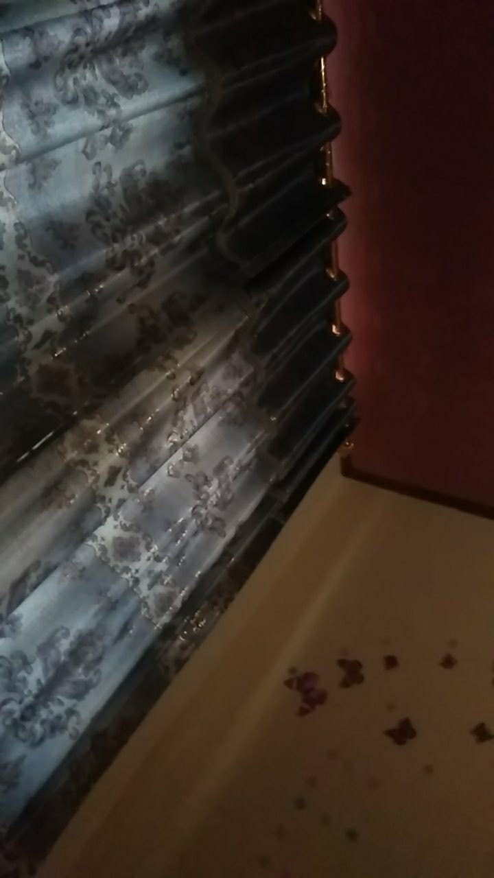 Obat Pertanian Membasmi Semut, Kutu Daun Dan Ulat 25wp