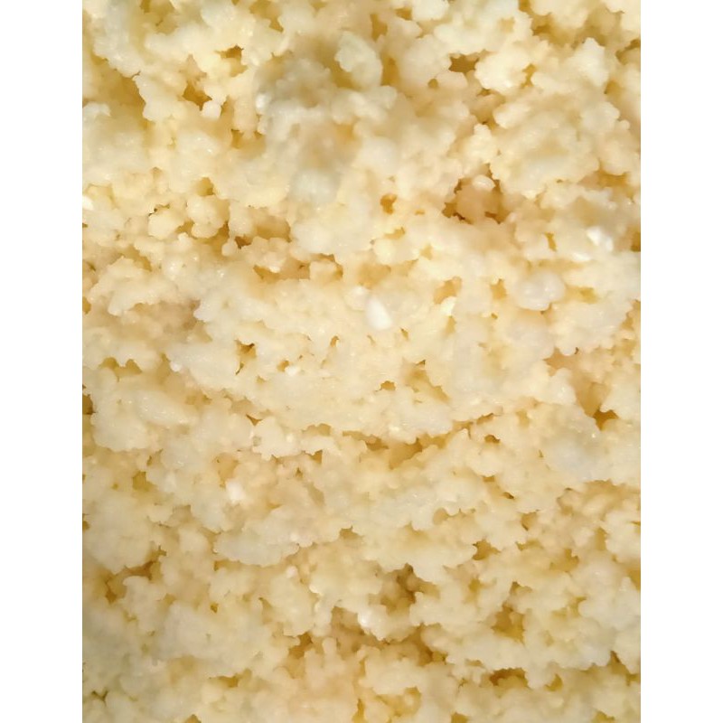 

grain susu kefir