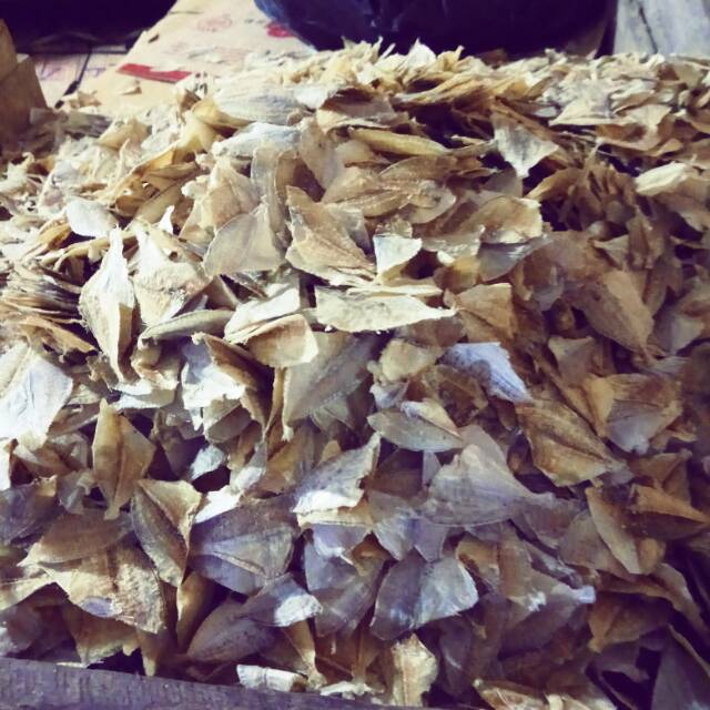 

Ikan Kering Bete-bete khas kendari