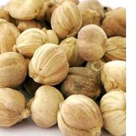 

kapulogo kering asli PRIGI trengalek kwalitas super langsung dr petani