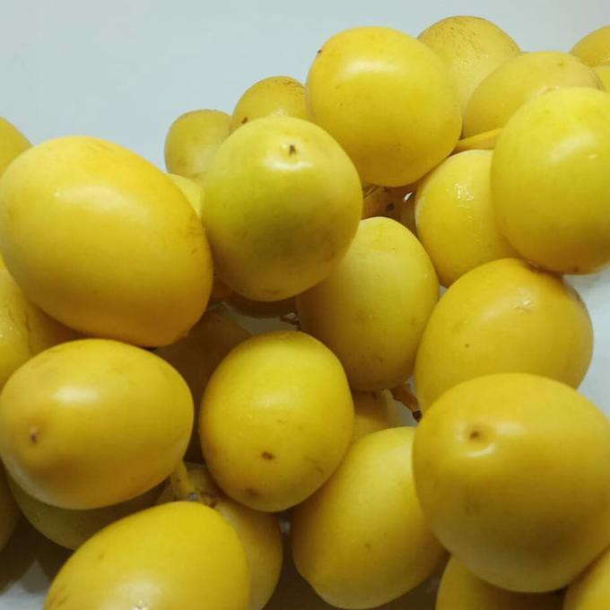 

Kurma Muda 500 Gram Premium Arkanamarketht