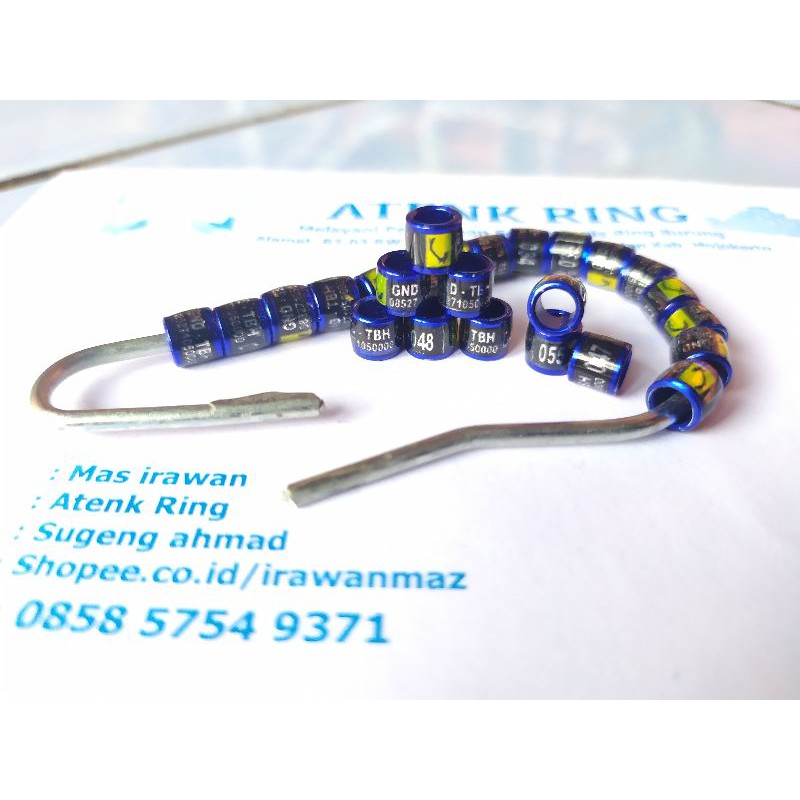 ring,burung,murai,lb,kacer,dll,model,roda