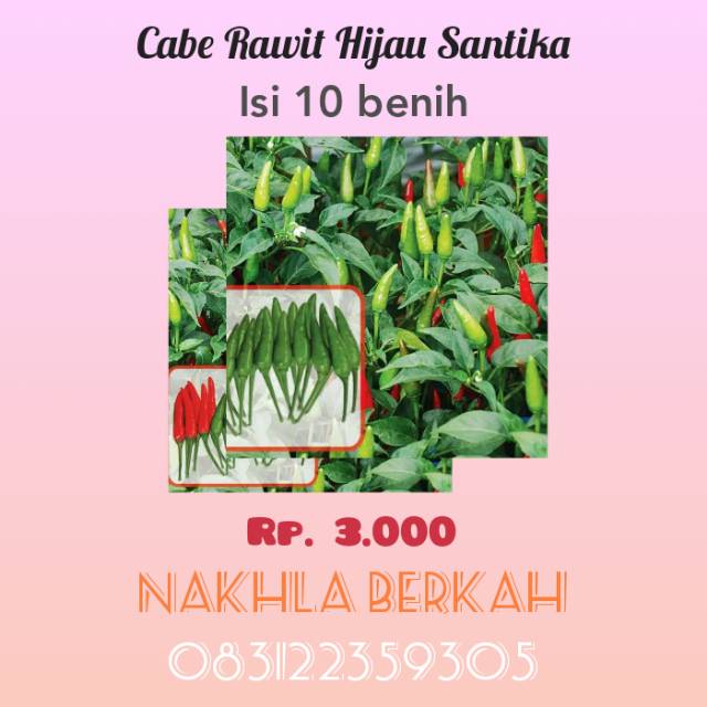 Benih Cabe Rawit Hijau Santika isi 10