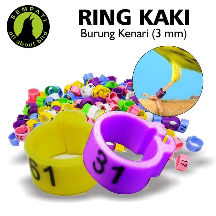 RING JEPIT 3 MM UNTUK KAKI BURUNG KENARI