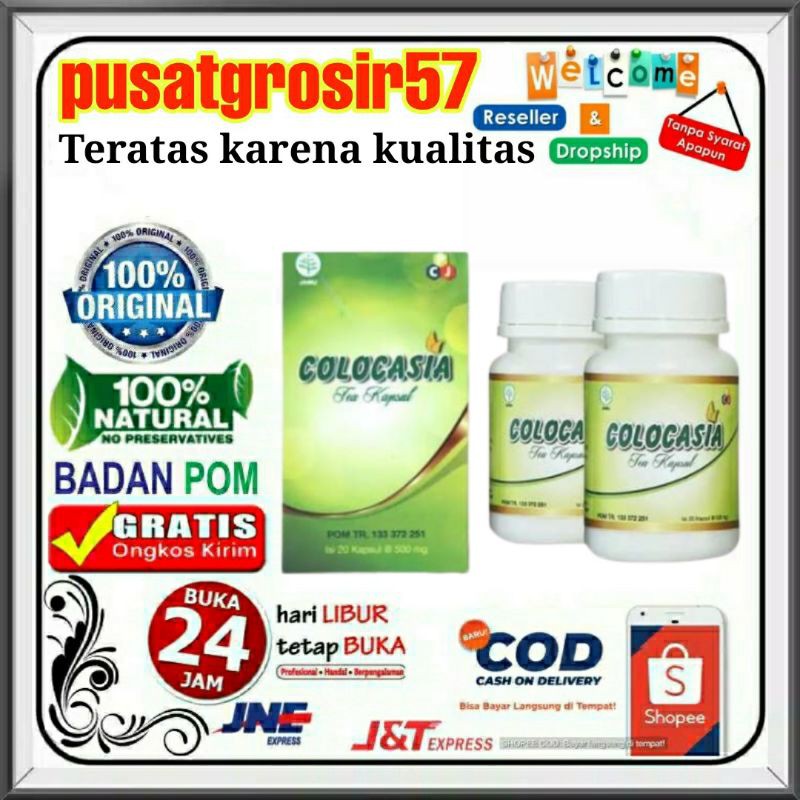 Colocasia obat anti sendi asli 100% original - colocasia mengatasi penyakit nyeri sendi tulang otot