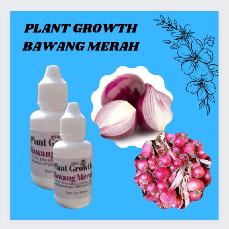 Pupuk Bawang Merah Yang Bagus, PLANT GROWTH BAWANG MERAH, Pupuk Bawang Merah Hidroponik