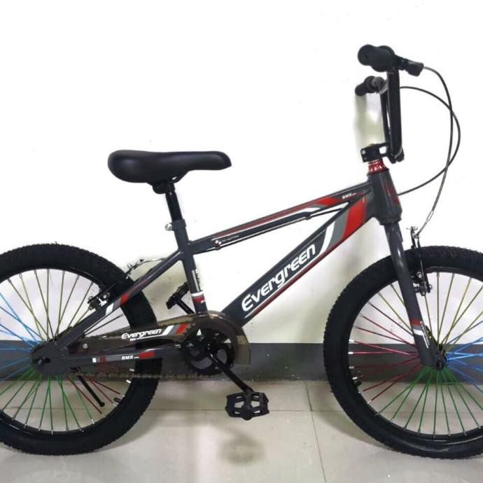 SEPEDA ANAK BMX 20 EVERGREEN EXCLUSIVE