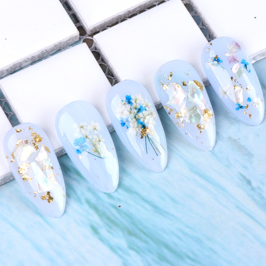 Manik-Manik Dekorasi Cangkang Seni Kuku Mutiara Kerang Abalone Asimetris 3d /Nail Art Diy