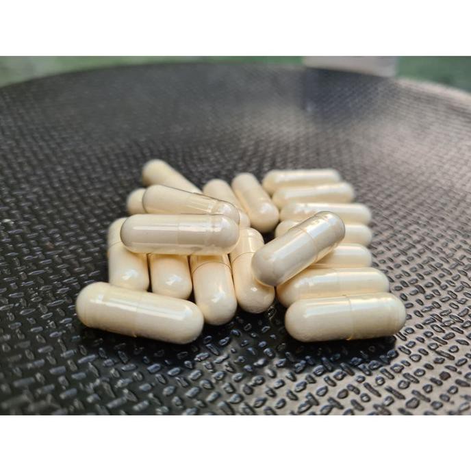 Terlengkap-Store 30 Kapsul Colostrum Untuk Gemukin Kucing