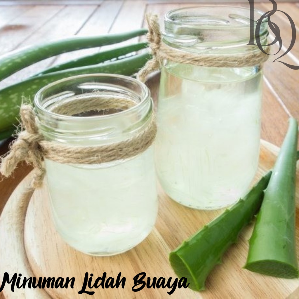 PELEPAH LIDAH BUAYA JUMBO / DAUN LIDAH BUAYA / BIBIT LIDAH BUAYA / MINUMAN LIDAH BUAYA / ALOE KUPAS DIJAMIN BEBAS PEPETISIDA