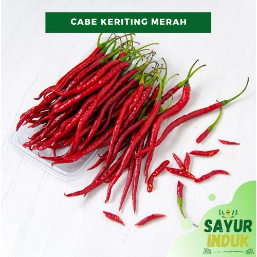 

Sayur Induk - Cabe Keriting Merah 250 Gram Fresh Grade A