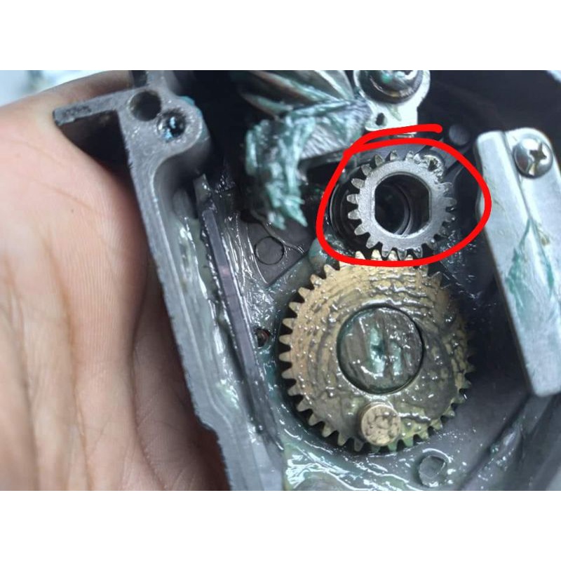 gigi nanas maguro tournament 5000