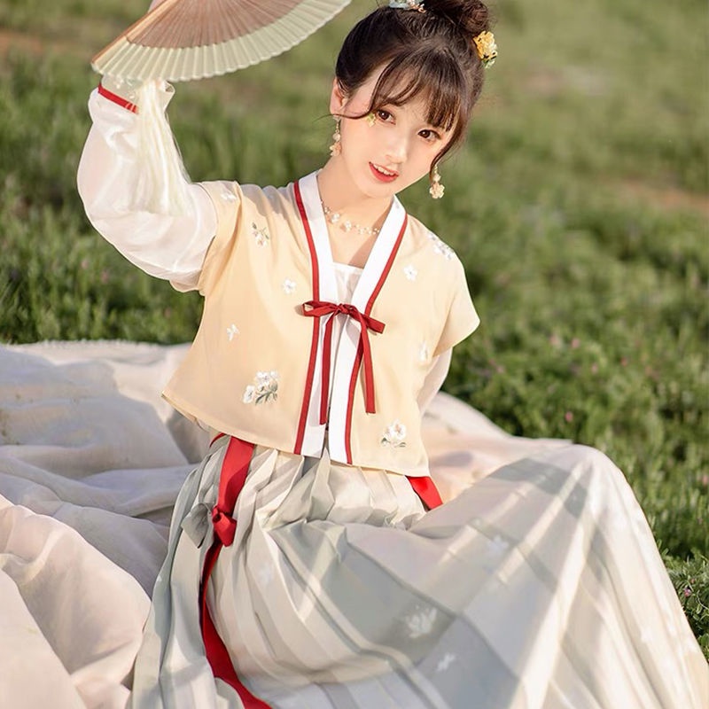 Dream hometown Tang dizi round-neck shirt one piece pleated skirt spring and autumn improved Hanfu f