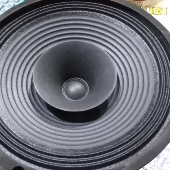 Serbuuuu.. SPEKER CANON 10 in RANGE/CORONG "