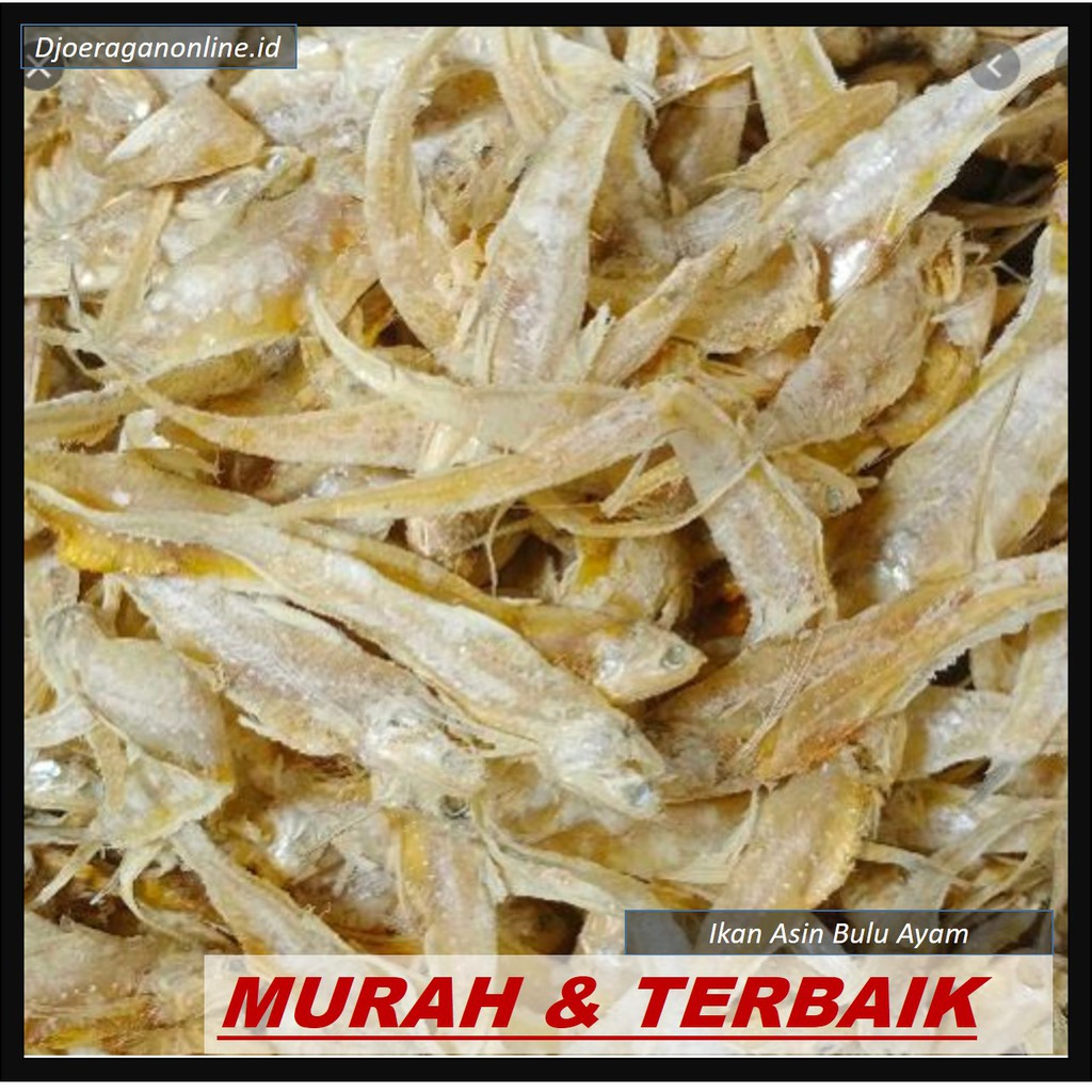 

IKAN ASIN BULU AYAM MURAH 100 GR / ASIN BULU AYAM SUPER / IKAN ASIN ENAK / ASIN ASLI NELAYAN LOKAL